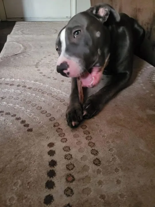 Jennifer thumbnail 2