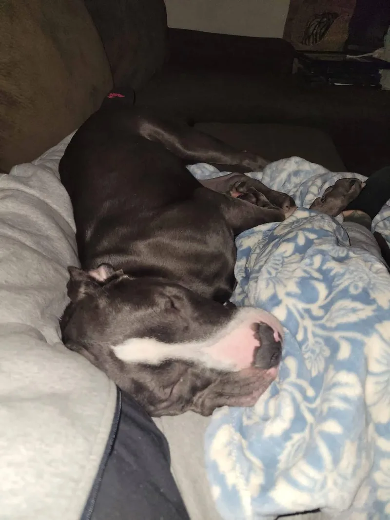 Jennifer thumbnail 3