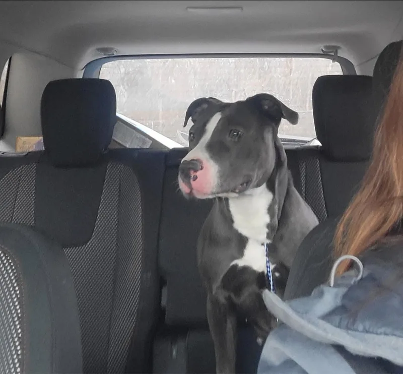 Jennifer thumbnail 4