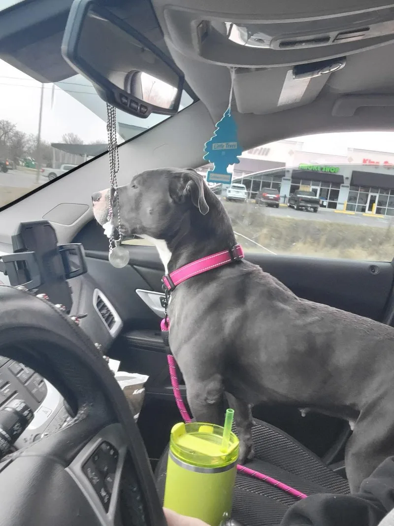 Jennifer thumbnail 5