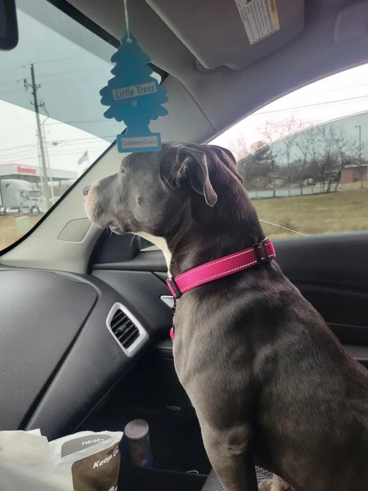 Jennifer thumbnail 6