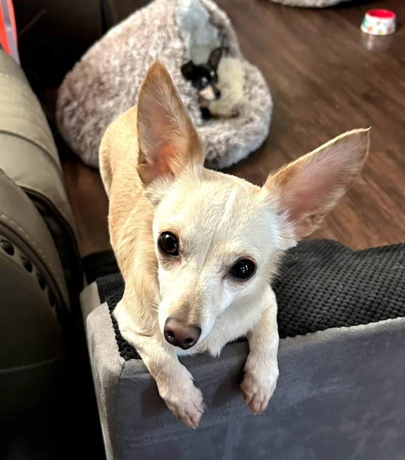 Winnie
