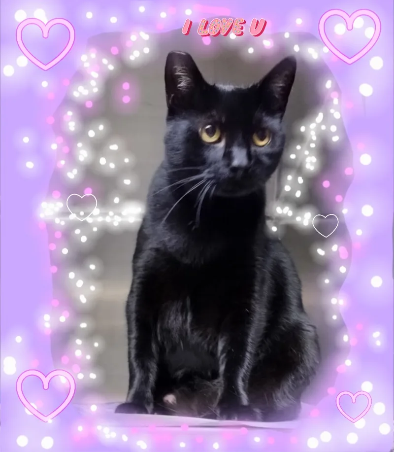 Ms. Jetblue!! thumbnail 2