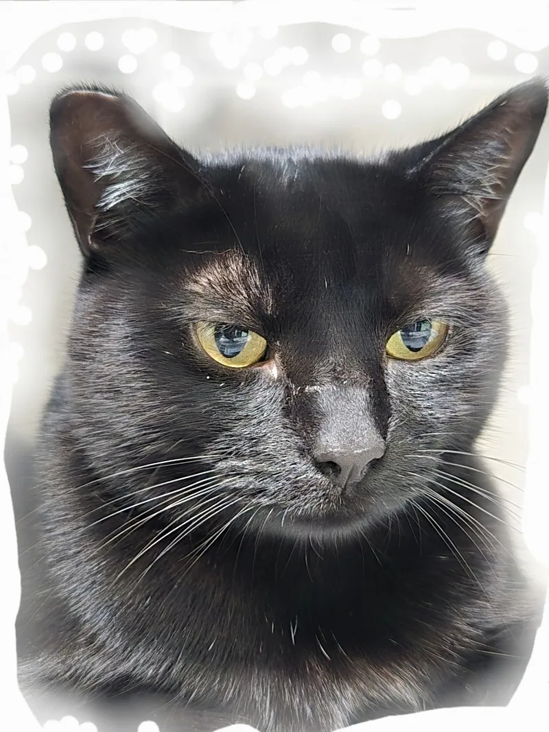 Ms. Jetblue!! thumbnail 3