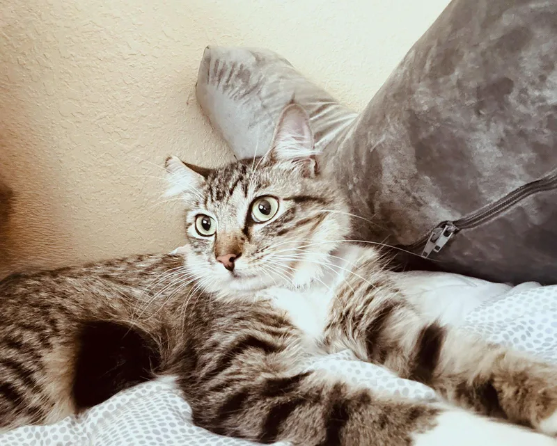 Chloe thumbnail 2