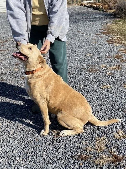 Cookie Monster thumbnail 2