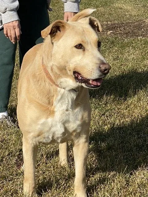 Cookie Monster thumbnail 3