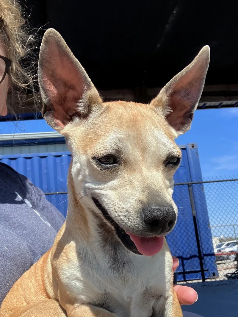 Mr. And Mrs. Smith thumbnail 2