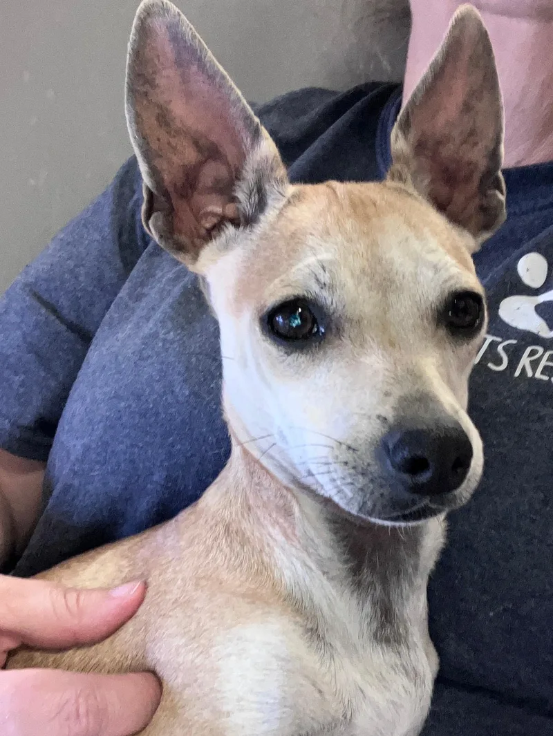 Mr. And Mrs. Smith thumbnail 3