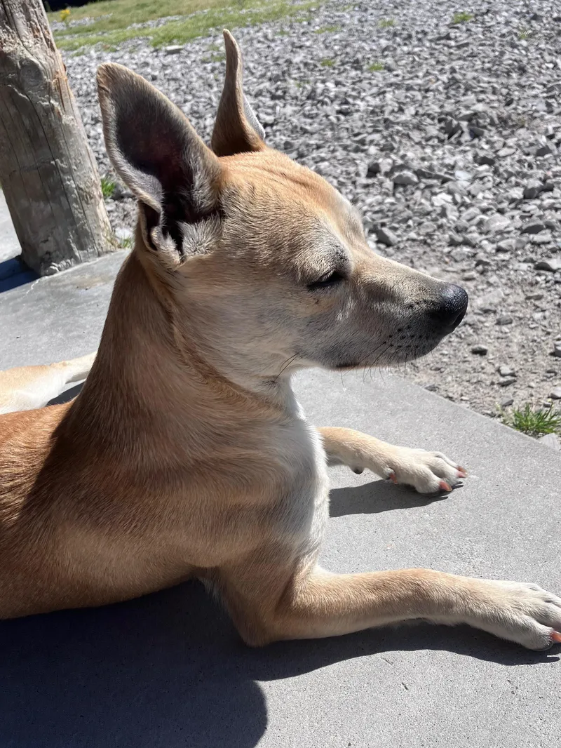 Mr. And Mrs. Smith thumbnail 4