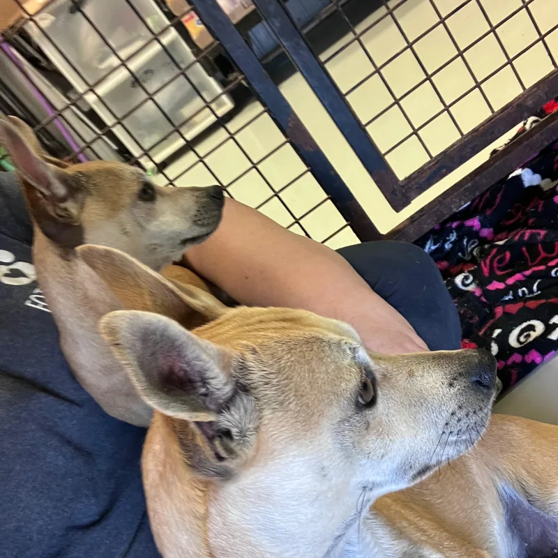 Mr. And Mrs. Smith thumbnail 5