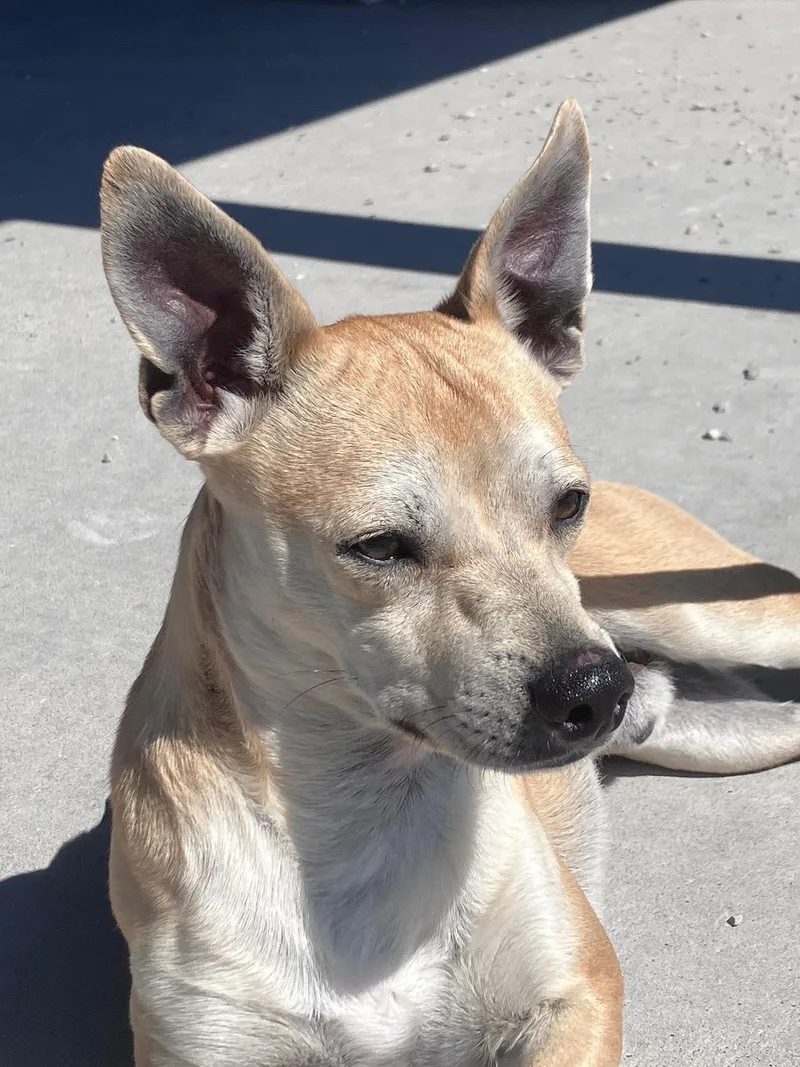 Mr. And Mrs. Smith thumbnail 6