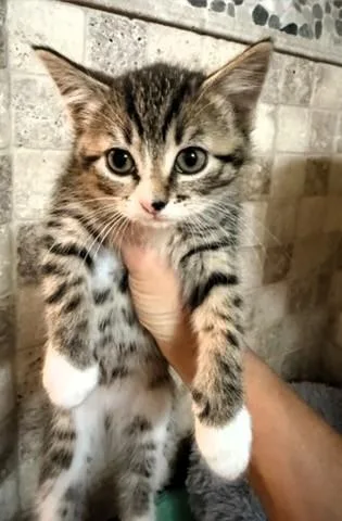 Baby thumbnail 3