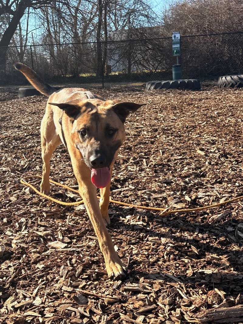 Skywalker thumbnail 3