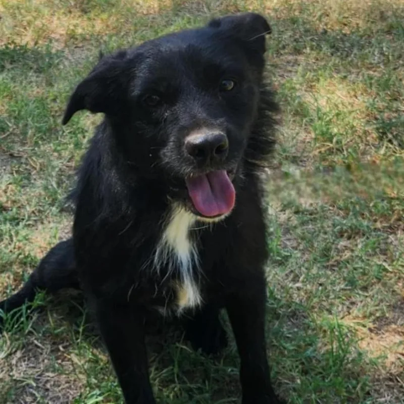 Stanley Jum thumbnail 3