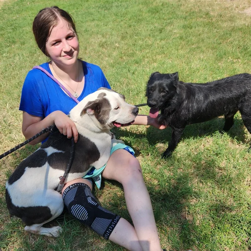 Stanley Jum thumbnail 4