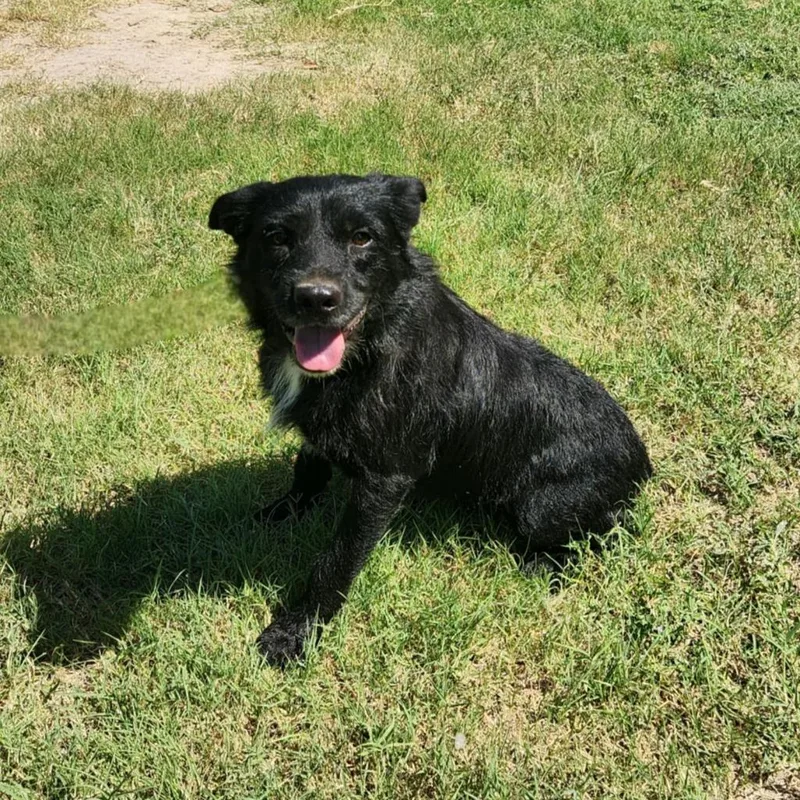 Stanley Jum thumbnail 5