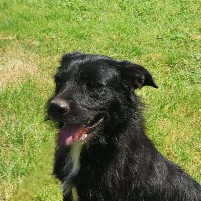 Stanley Jum thumbnail 6