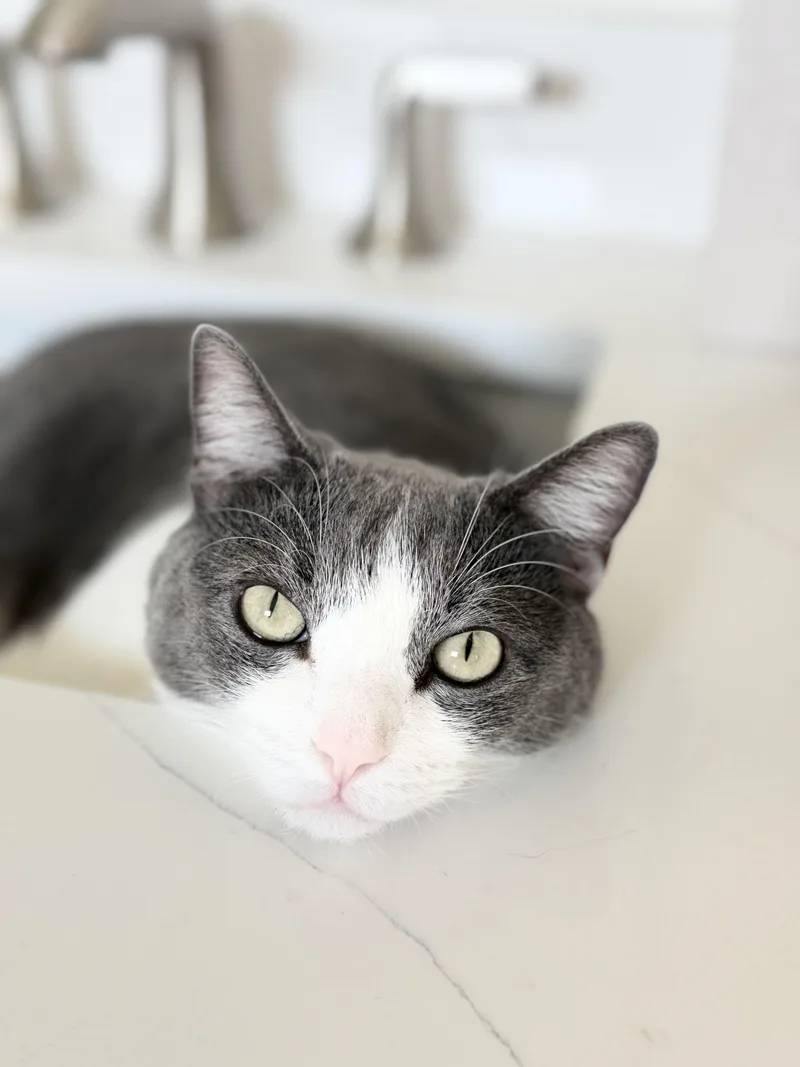 Cooper thumbnail 3