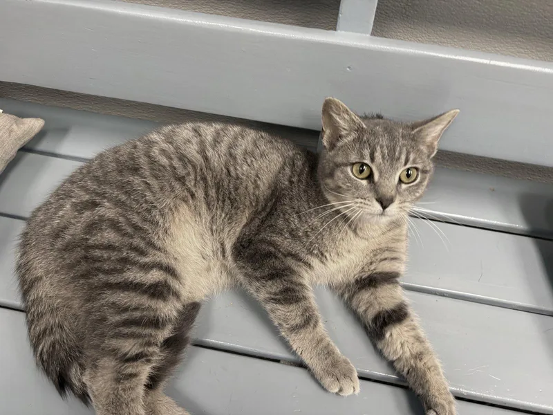 Branch Must Apply In thumbnail 2