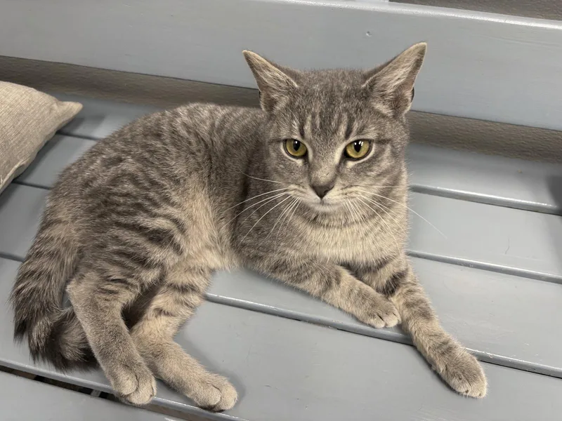 Branch Must Apply In thumbnail 3