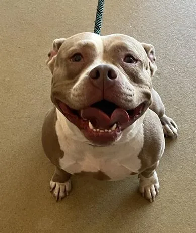 Peggy