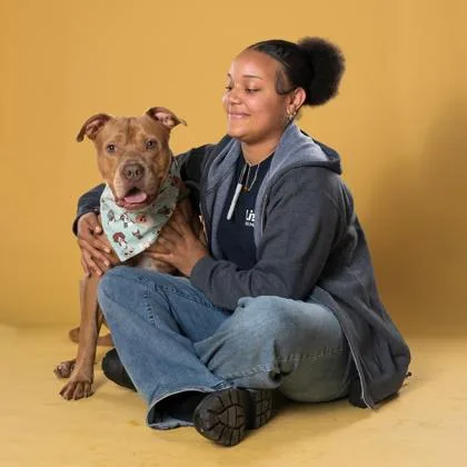 An adult medium-sized male Mixed Breed dog named Nolan for adoption in Atlanta, GA