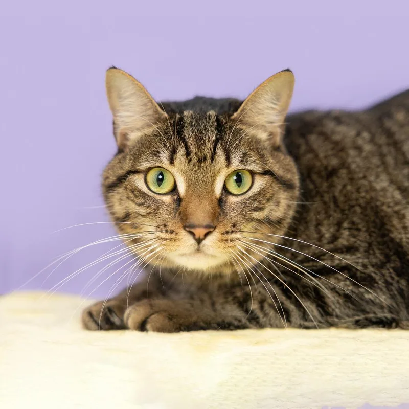 Penelope Aka Penny thumbnail 2