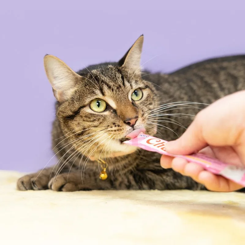 Penelope Aka Penny thumbnail 4