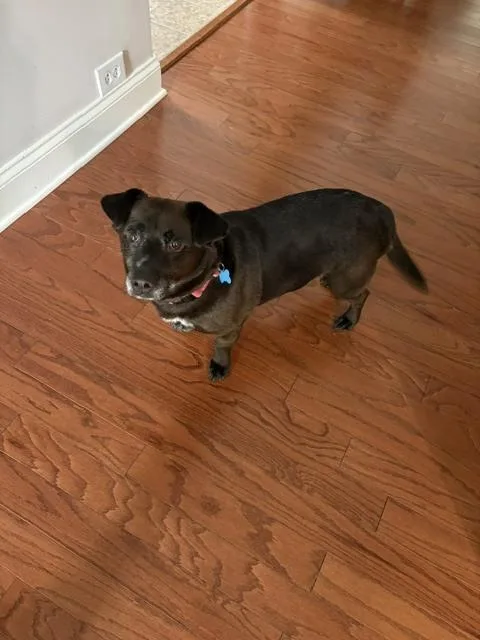 Remi