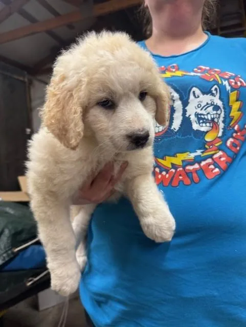 Peggy thumbnail 2