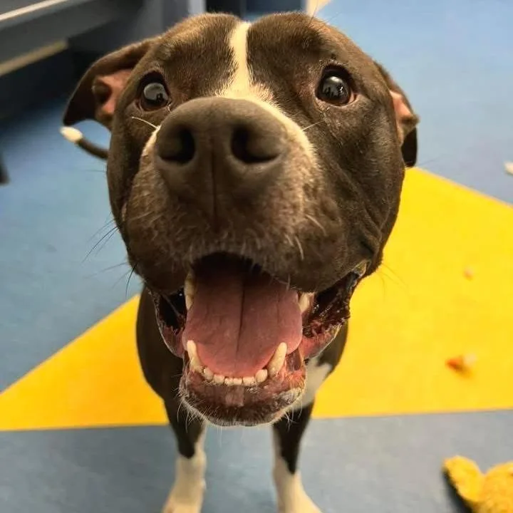 Sapphire thumbnail 3