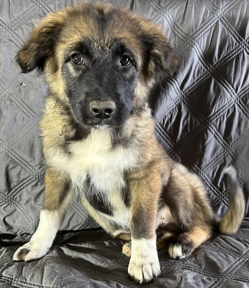 Charming thumbnail 3