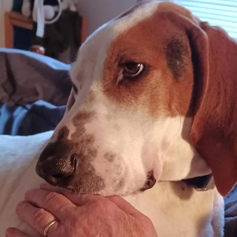 Willie A thumbnail 4