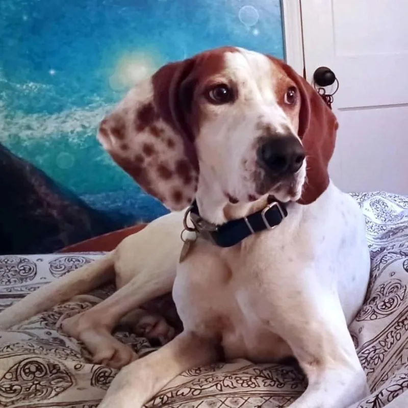 Willie A thumbnail 5