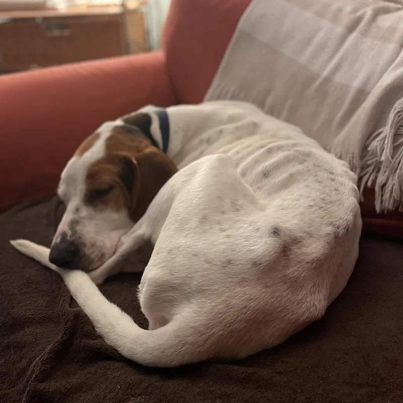 Willie A thumbnail 6