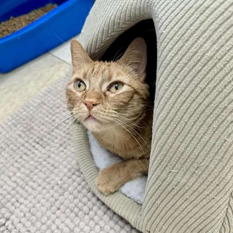 Marianawashington Petco thumbnail 2