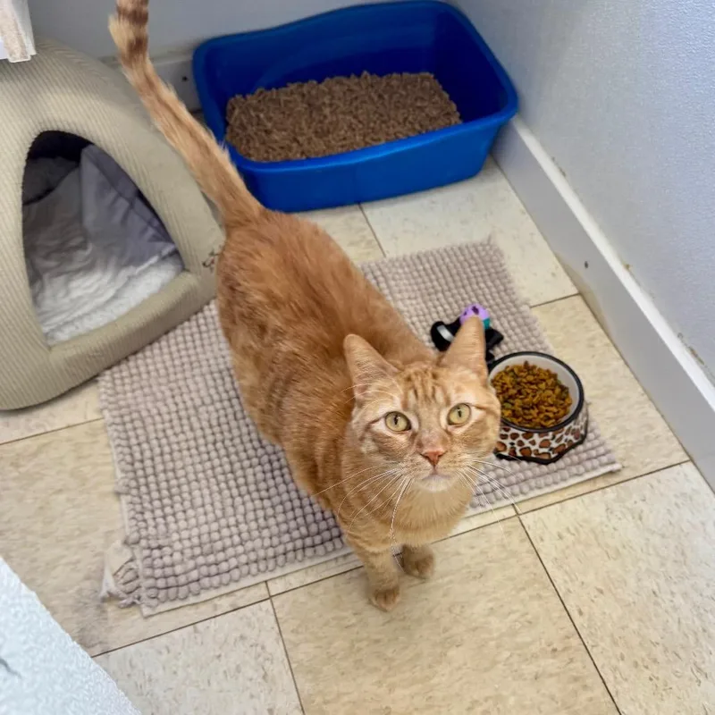 Marianawashington Petco thumbnail 3