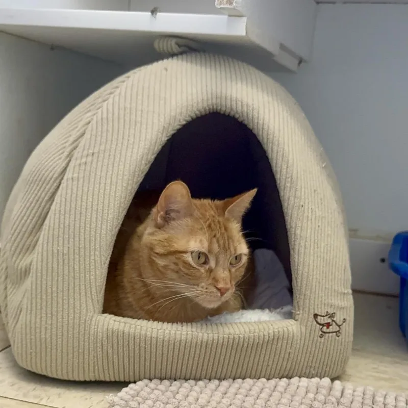 Marianawashington Petco thumbnail 4