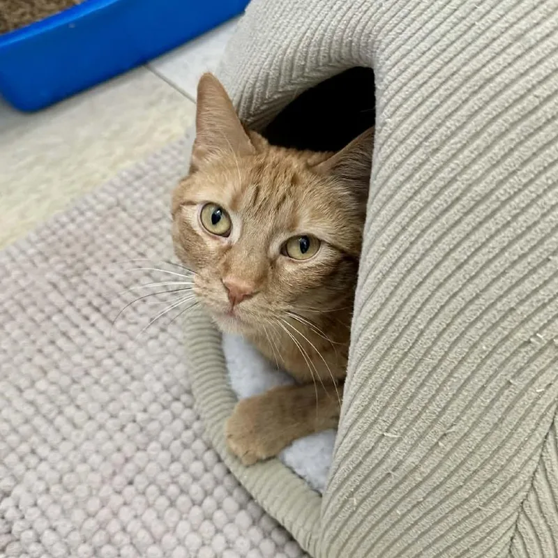 Marianawashington Petco thumbnail 5