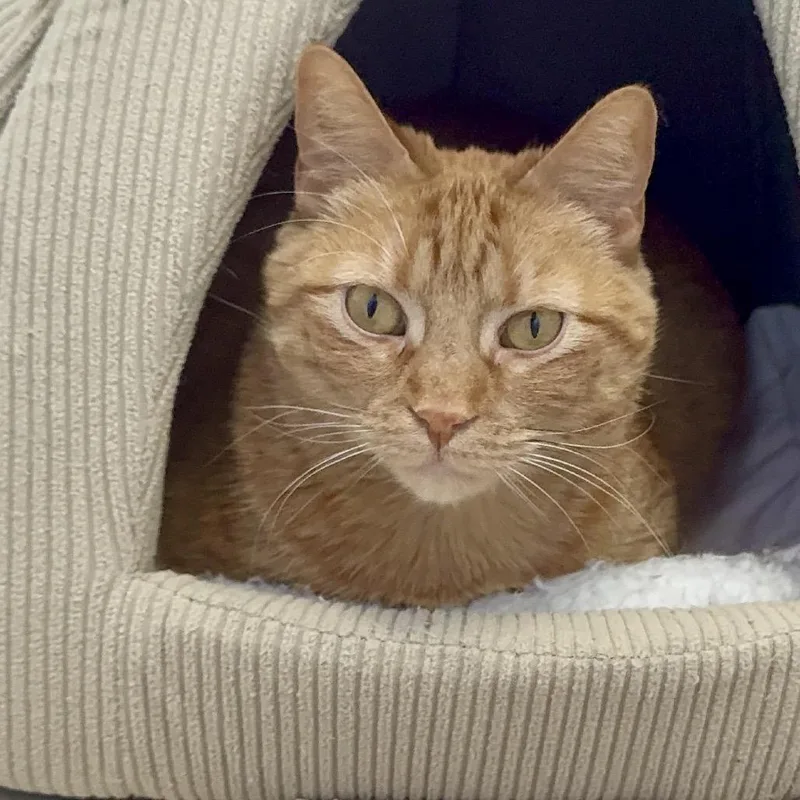 Marianawashington Petco thumbnail 6