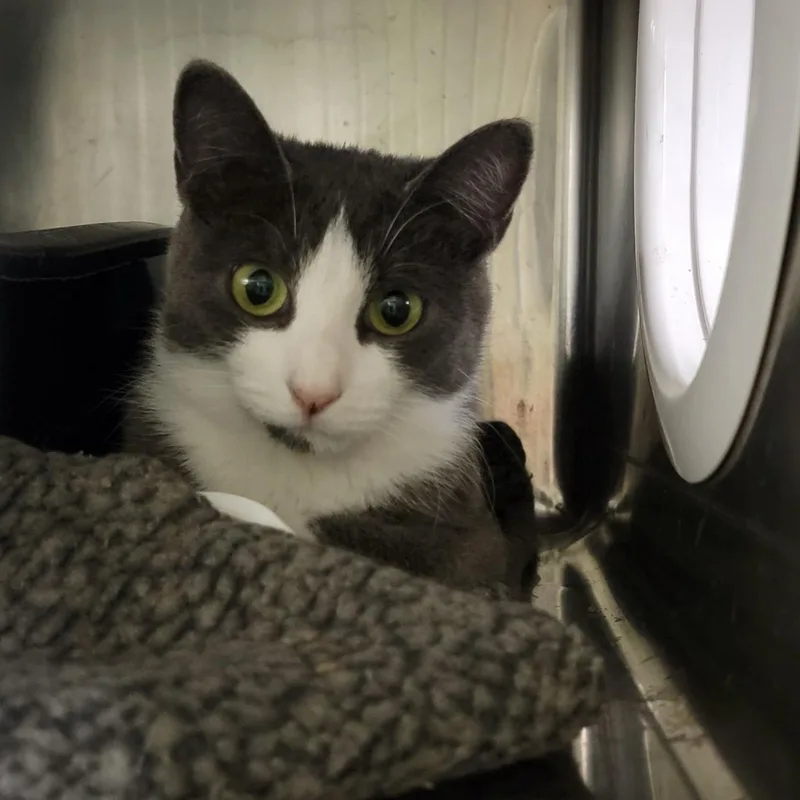 Mrs. Thumbs thumbnail 2