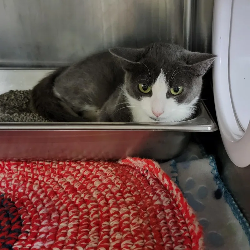 Mrs. Thumbs thumbnail 5