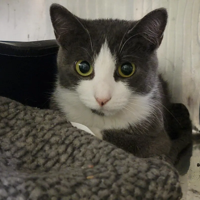 Mrs. Thumbs thumbnail 6