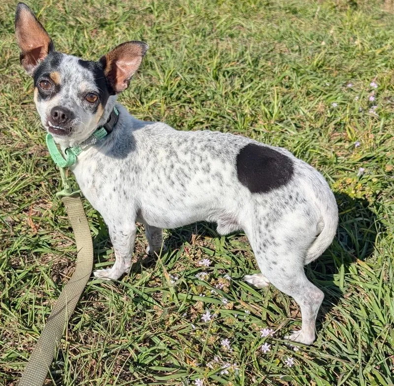 Cowboylb Friendly Guy!