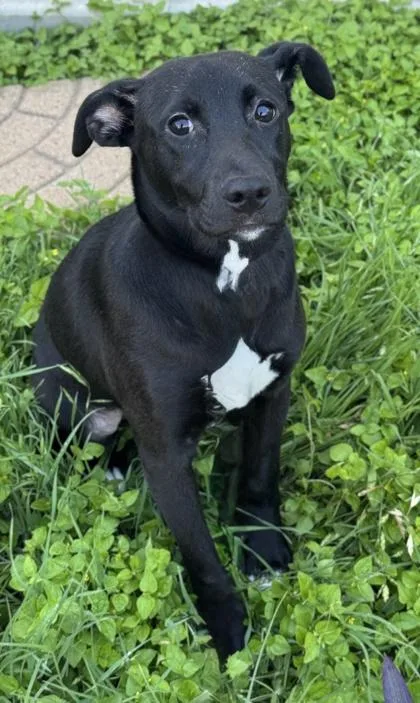 Thursday thumbnail 2