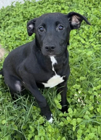 Thursday thumbnail 3