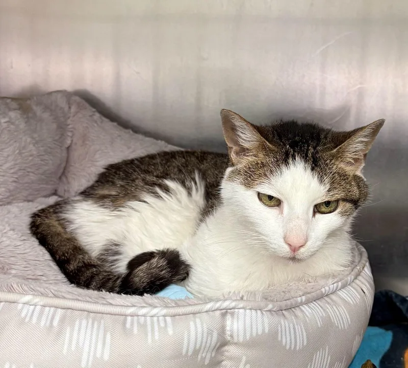 Zzcourtesy Listing For Julie