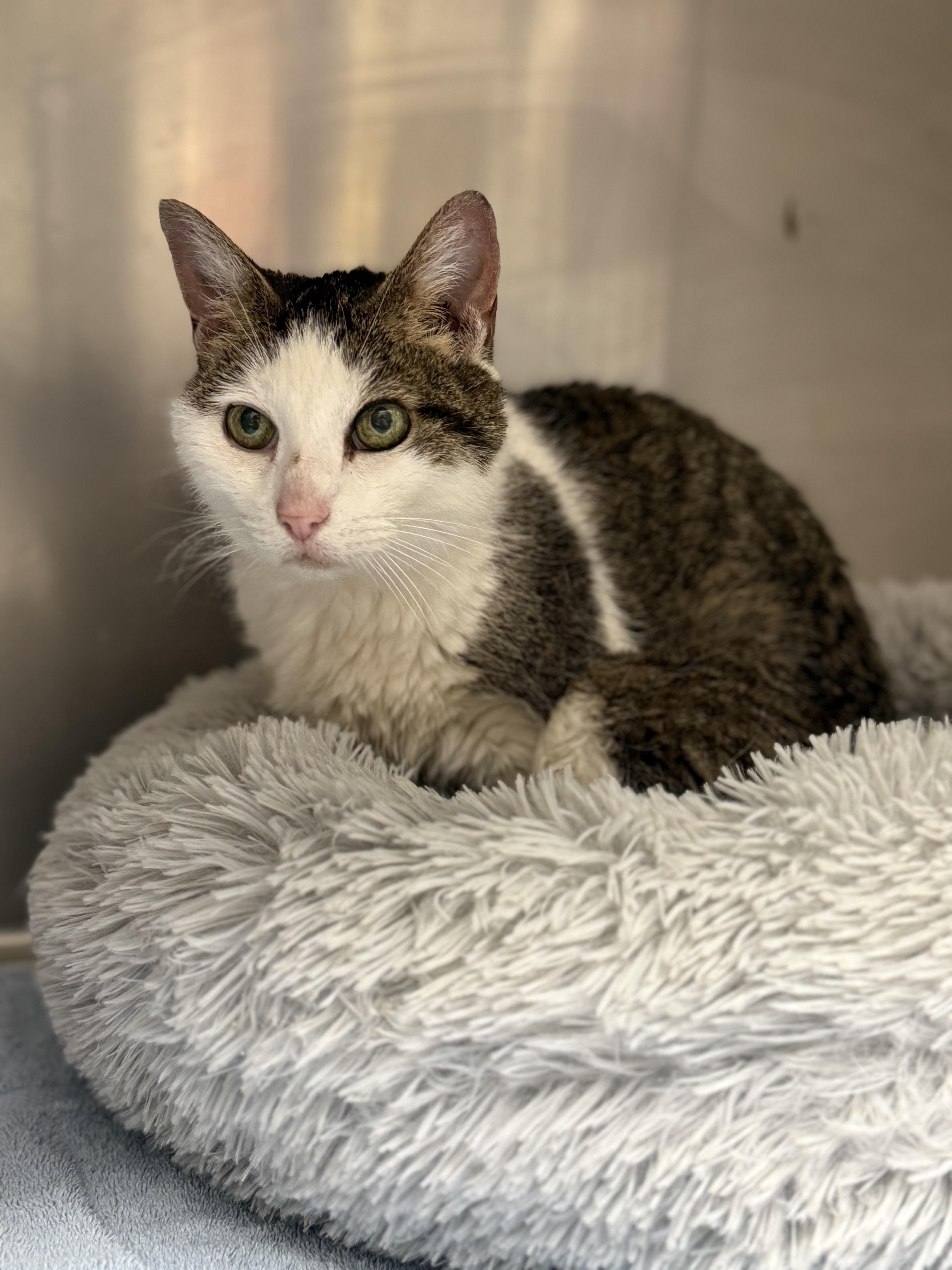 Zzcourtesy Listing For Julie thumbnail 2