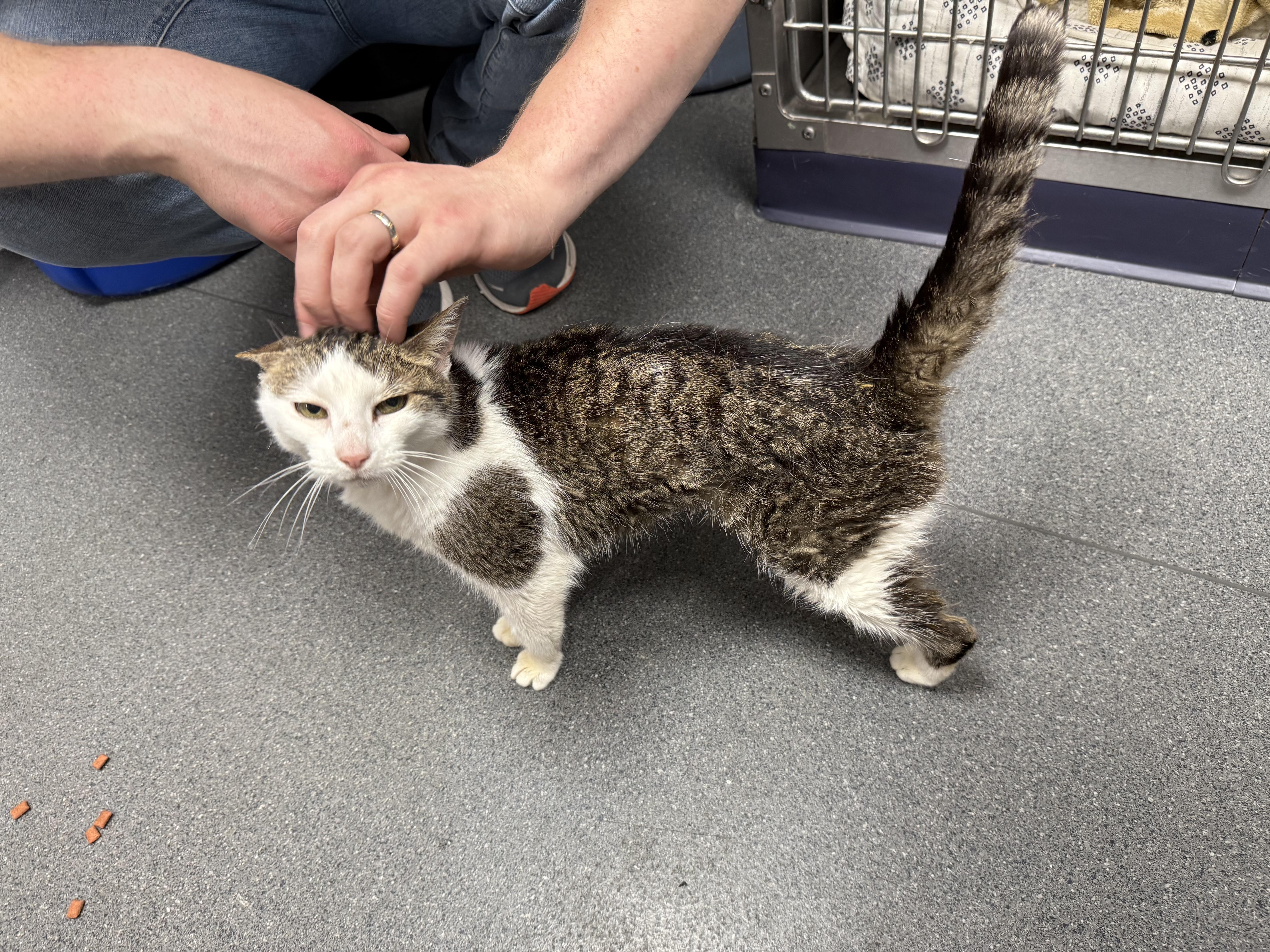 Zzcourtesy Listing For Julie thumbnail 3